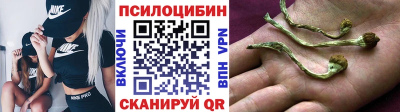 где продают наркотики Людиново Галлюциногенные грибы MAGIC MUSHROOMS
